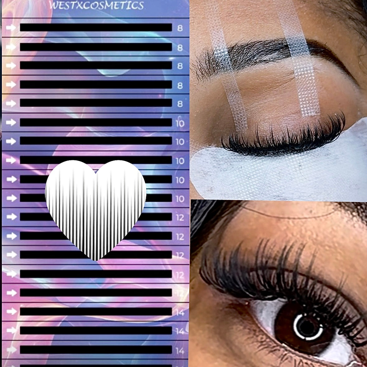 Luxury Lash Trays